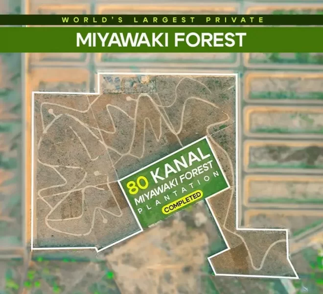 80-kanal-Miyawaki-forest-banner