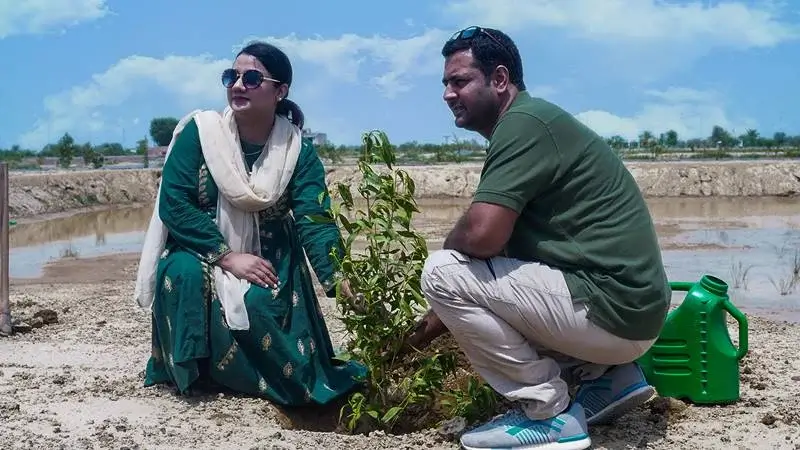 Green Park Avenue Drive tree plantation