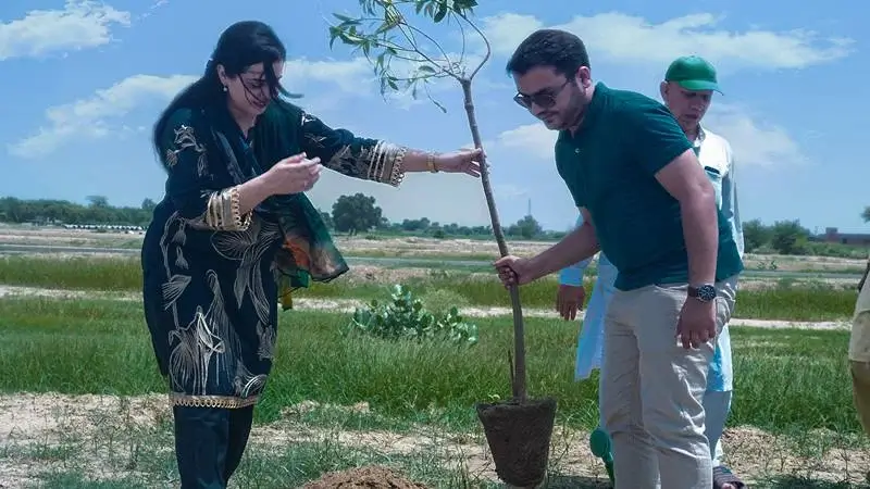 Green Park Avenue Drive tree plantation
