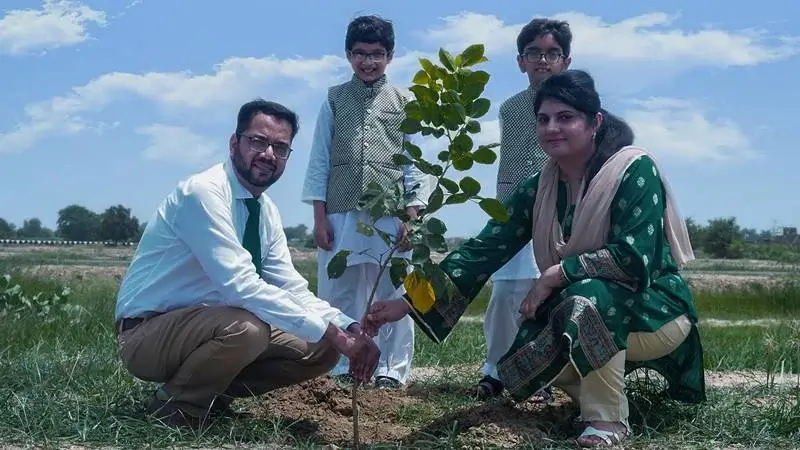 Green Park Avenue Drive tree plantation